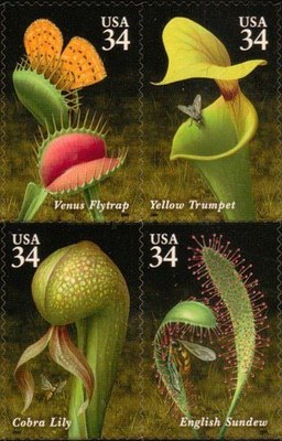 [Carnivorous Plants, type ]