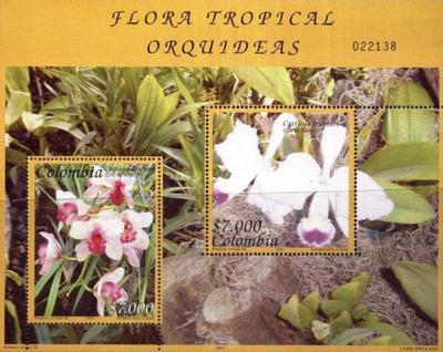 [Orchids, type ]