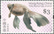 [Goldfish, type AQA]