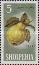 [Fruits, type SD]
