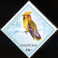 [Birds, type AFE]