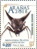 [Spiders, type EPZ]