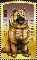 [Year of the Dog, type CJY]