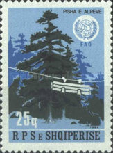 [Our Forests, type BFP]