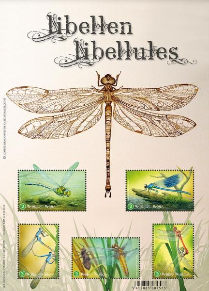 [Insects - Dragonflies, type ]