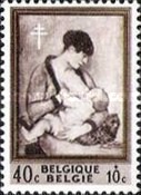 [The struggle against Tuberculosis, type ZZ]