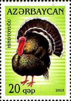 [Fauna - Birds, type AHA]