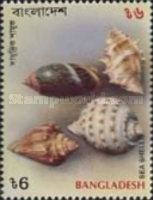 [Sea Shells, type PR]