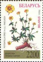 [Flora of Belarus - Herbs, type EG]