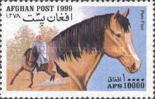 [Horses, type ATR]