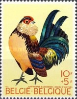 [Birds - Chicken, type ALD]