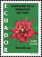 [The 100th Anniversary of Del Puyo Foundation, type CLA]