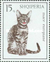 [Cats, type YPP]