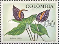 [Colombian Fauna and Flora, type ANB]