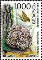 [Mushrooms, type ACU]