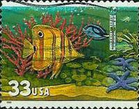 [Aquarium Fish - Self-Adhesive, type DFN]