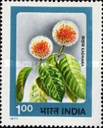 [Indian Flowers, type TZ]