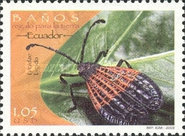 [Flora and Fauna, type CWR]