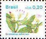 [Flowers - Currency expressed as "NCz $", type CII]