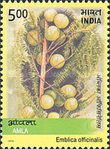 [Medicinal Plants of India, type CCO]