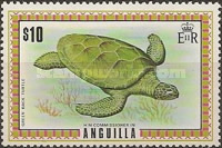 [Turtle, type GN]