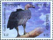 [Endangered Animals of Bangladesh, type AMV]