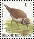 [Birds, type CUM]
