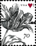[Vintage Flowers, type GNX]