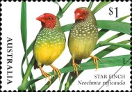 [Birds - Finches of Australia, type EMY]