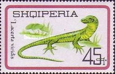[Reptiles, type YLL]
