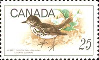 [Birds, type MN]