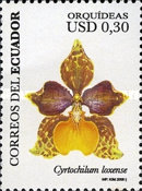 [Orchids, type DFR]