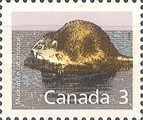 [Canadian Mammals, type AMB]
