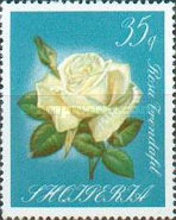 [Roses, type AAA]