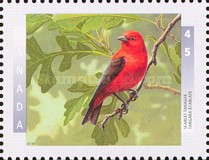 [Birds, type BFP]