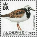 [Definitives - Alderney Birds, type YS]
