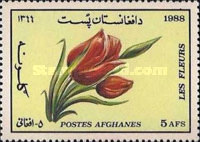 [Flora - Flowering Plants, type AHX]