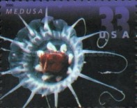 [Deep Sea Creatures, type DNK]