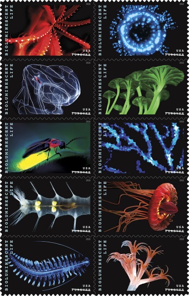 [Bioluminescent Life, type ]
