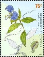 [Medicinal Plants, type CLG]