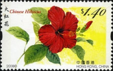 [Flowers, type AXB]