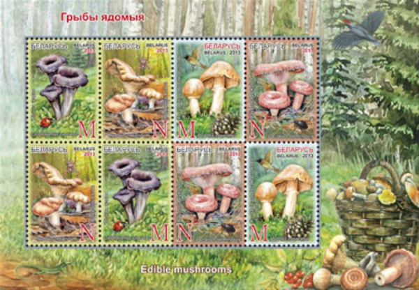 [Edible Mushrooms, type ]