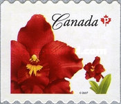 [Definitive - Flowers, Self-Adhesive, type COZ]