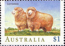 [Sheeps, type ALU]