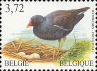 [Birds, type CSL]
