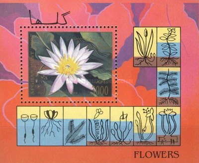 [Flora - Flowers, type ]