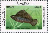 [Marine Life - Fish, type AFC]