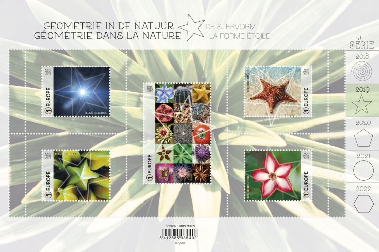 [Geometry in Nature - Star Shape, type ]