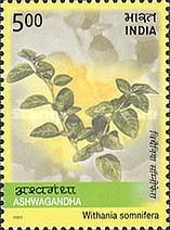 [Medicinal Plants of India, type CCP]