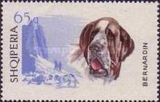 [Dogs, type YG]